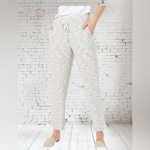 Susan Graver Gray Track Pants 4XP NWT | Modern Comfort Easy Luxe Style